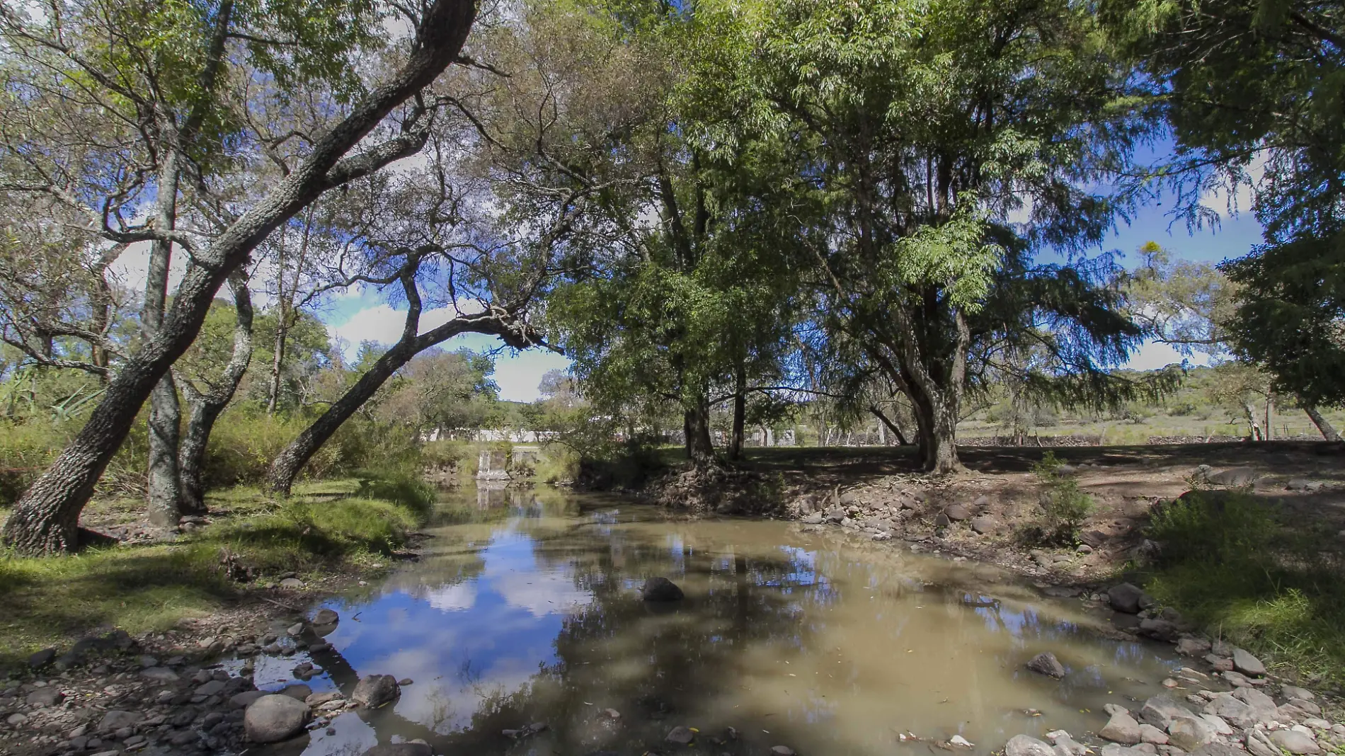 Existen varias pozas donde la gente suele meterse en época de calor.  Foto César Ortiz  El Sol de San Juan del Río.